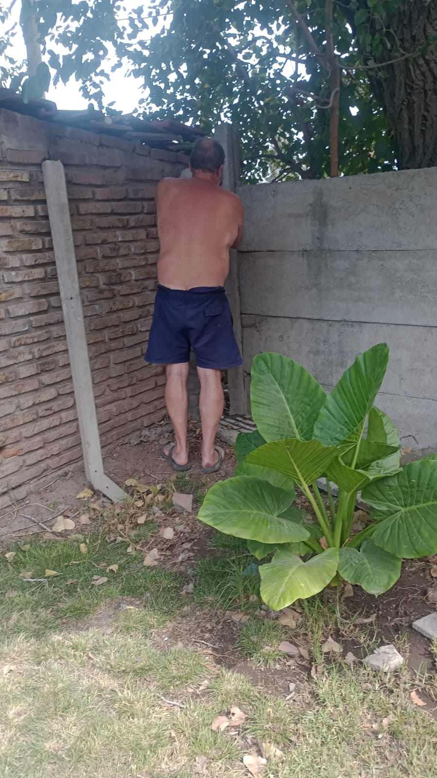 WhatsApp Image 2025-02-03 at 15.24.01.jpeg